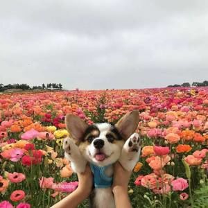 Meet your Posher, Maddie